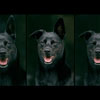 Atlanta Photo Workshops with Dean Stevenson