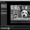 Atlanta Photo Workshops with Dean Stevenson