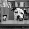 Atlanta Photo Workshops with Dean Stevenson