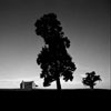 Photographing the Night - 1 Night Workshop - Atlanta, GA